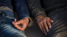 Detienen a mexicanos en la mayor incautación de dinero y drogas en San Diego