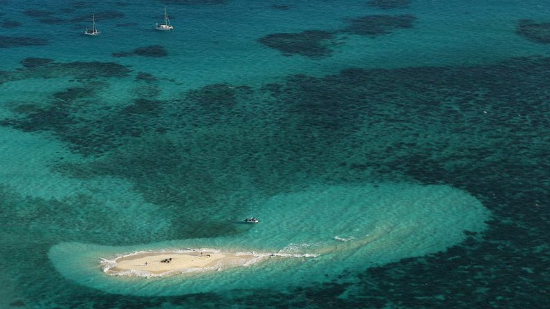 Una vista aérea de Vlassof Cay en la Gran Barrera de Coral se ve el 14 de noviembre de 2012 en Cairns, Australia. (Fotografía de Mark Kolbe/Getty Images)