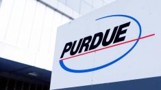 Purdue Pharma se declara culpable por la crisis de los opiáceos en EE.UU.