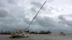 México envía 5000 agentes de Fuerzas Armadas al sureste por huracán Delta