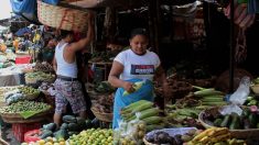 Encuesta: nicaragüenses más preocupados por desempleo que por COVID-19