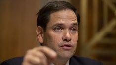 Senador Rubio presenta proyecto de ley que restringe apps de alto riesgo, incluidas las de China