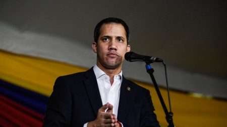 Guaidó aborda con la ministra sueca de Exteriores la situación de Venezuela