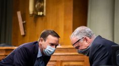Demócratas en el Senado de EE.UU. piden aumentar los test de COVID-19 en el Capitolio