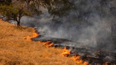 Los fuertes vientos dificultan la contención de los incendios en California