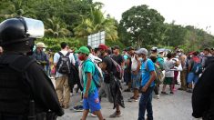 Al menos 2000 migrantes hondureños han retornado a su país desde Guatemala