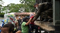 Retornan a más de 3000 hondureños de caravana migrante a su país