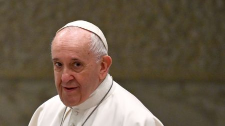 Papa Francisco suspende su agenda por tener fiebre