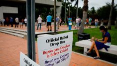 Alarma en Florida por acumulación de sobres con votos en una oficina postal