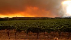 Fuego de California ahora es un «gigaincendio»