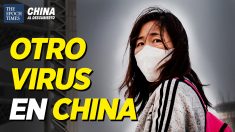 China al Descubierto: Brote de norovirus chino; Argentinos rechazan ser la granja porcina de China