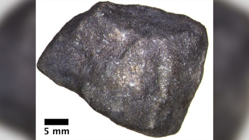 El fragmento de meteorito que cayó en el Lago Strawberry  incluye compuestos orgánicos prístinos. (Cortesía de Field Museum)