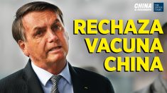 China al Descubierto: Brasil no comprará vacuna china; Virus en cerdos chinos amenaza a humanos