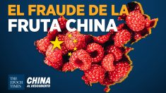 China al Descubierto: Investigación revela estafa de empresa que vendía fruta china como chilena