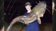 Niño de 13 años pesca monstruoso bagre en el lago Wylie y sus fotos se vuelven virales