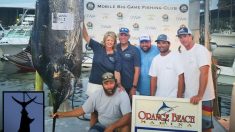 Mujer pesca un marlín ‘monstruoso’ de 852 libras en el golfo de México y establece récord estatal