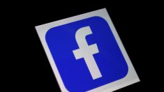 Facebook elimina todo el contenido que menciona “Stop the Steal” antes del Día de la Inauguración