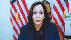 Kamala Harris reanudará eventos de la campaña presenciales en Florida