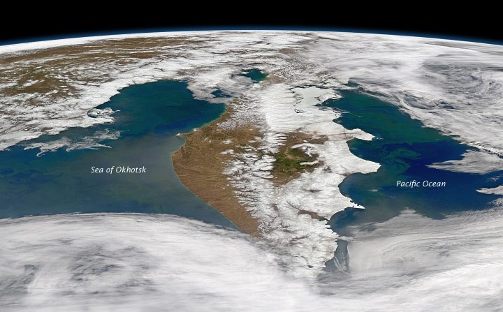 La península de Kamchatka, en el extremo oriental de Rusia, estaba rodeada de vida a fines de mayo de 2013, al menos de tipo oceánico, con floraciones masivas de fitoplancton que suele sustentar una gran cantidad de otros peces y vida marina. (Imagen de Norman Kuring, Grupo de Color del Océano de la NASA)