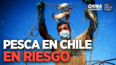 China al Descubierto: Barcos chinos en Chile, pescadores preocupados por pesca masiva
