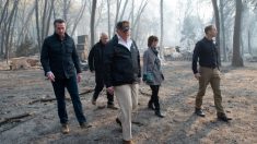 Gobierno federal rechaza solicitud de California de asistencia a desastres causados por incendios