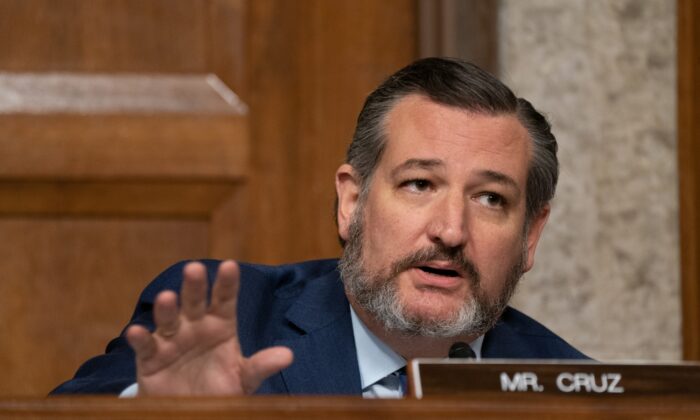 El senador Ted Cruz (R-Texas) habla durante una audiencia del Comité Judicial del Senado en Washington el 30 de septiembre de 2020. (Ken Cedeno/Pool vía Getty Images)
