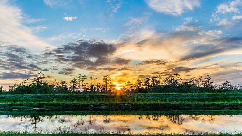 Puesta del sol en el Parque Nacional Everglades. (FunkWD/Pixabay)