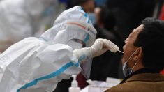 Cuestionan resultados de pruebas masivas del virus en China, se desconoce gravedad del último brote
