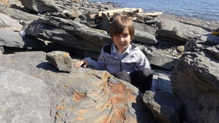 Niño ruso encuentra un gigantesco dinosaurio de hace 250 millones de años mientras jugaba con rocas