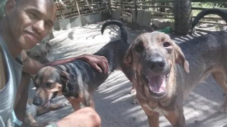 Hombre que perdió casa y trabajo tuvo que dormir en el auto con sus 6 perros: se negó a abandonarlos