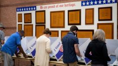 Agencia de Seguridad Cibernética dice las elecciones son las «más seguras en la historia de EE.UU.»