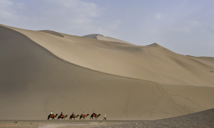 Una caravana de camellos en las dunas de arena de Mingsha en Dunhaung, provincia de Gansu, China en esta foto sin fecha. (Cortesía de Marla Mossman)