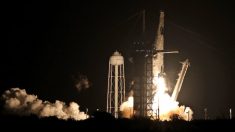 NASA y SpaceX posponen de nuevo tercera misión comercial tripulada a la EEI