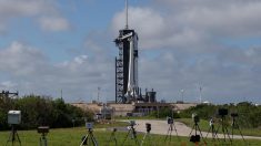 Cohete de SpaceX despega desde Florida con un centenar de satélites a bordo
