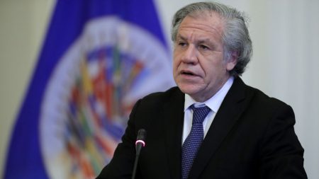 OEA aprueba resolución que pide publicar las actas electorales de Venezuela