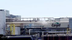 Empresa estadounidense Cargill anuncia cese de operaciones en Venezuela