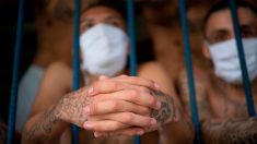 Detienen en El Salvador a pandillero que presuntamente fue parte de un programa social