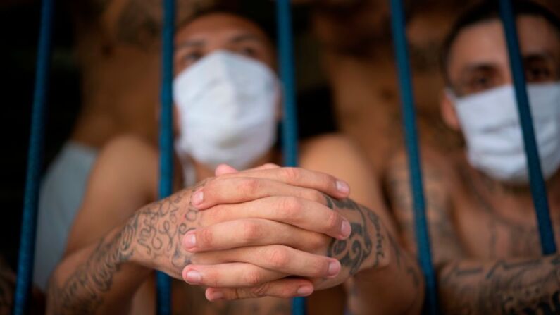 Imagen de miembros de la pandilla MS-13. (Yuri Cortez/AFP vía Getty Images)