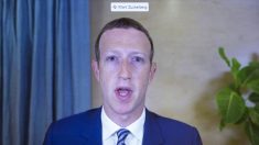 Grupos de seguridad infantil instan a Zuckerberg a abandonar los planes de un Instagram para niños
