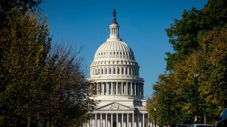 El Capitolio de EE.UU. se ve en la mañana del 4 de noviembre de 2020 en Washington, DC. (Al Drago/Getty Images)