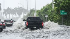 Se forma Bill, la segunda tormenta tropical del Atlántico