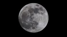 Este fin de semana se podrá ver un eclipse lunar durante la luna llena de castores