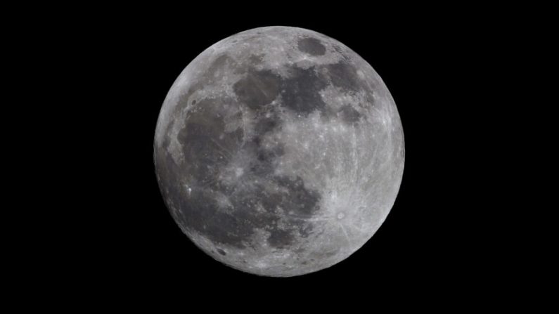 Una luna llena se eleva sobre el sur de Inglaterra antes de un eclipse lunar total y el posible avistamiento de una luna de sangre en High Wycombe, Reino Unido, el 20 de enero de 2019. (Richard Heathcote/Getty Images)