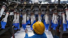 El mayor productor mundial de guantes de látex cerrará parte de sus fábricas por brote de COVID-19