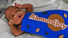 Bebés de la UCIN celebran Halloween con adorables disfraces hechos a mano en un Hospital de Florida