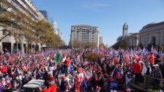 Organizadores de la «Marcha por Trump» planean una gran manifestación en diciembre