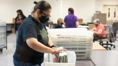 Arizonenses demandan a funcionarios estatales alegando que elecciones pasadas fueron ilegales