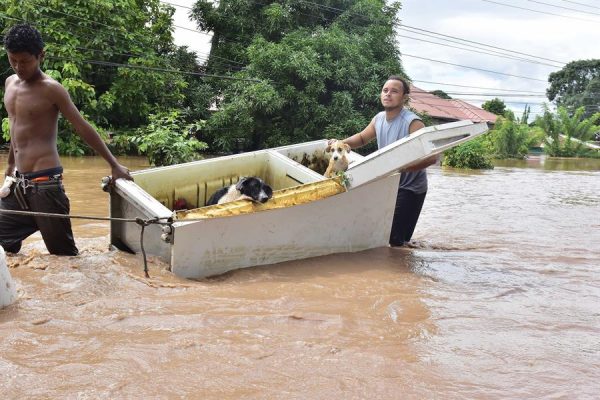 Habitantes de la colonia La Democracia transportan a sus mascotas en la nevera entre las calles inundadas a causa del huracán Eta, en la ciudad de El Progreso departamento de Yoro (Honduras). EFE/Jose Valle