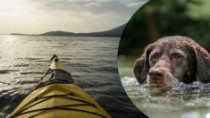 Padre e hijo realizan heroico rescate de perrito lanzado al río en medio de una tormenta en Argentina