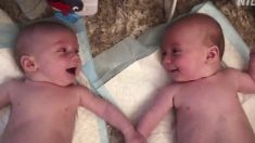 Video: hermanos gemelos de 4 meses se «conocen» por primera vez y es adorable